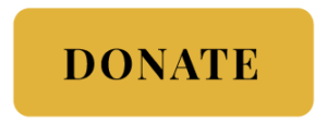 pz arts cic donate button